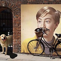 Photo effect - Bicycle