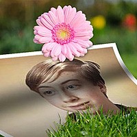 Photo effect - On The Grass