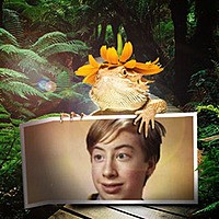Photo effect - Yellow iguana in tropical forest