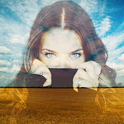 Photo effect - Dissolved in blue sky and yellow wheatfield