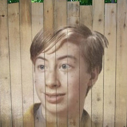 Photo effect - Picture on the fence