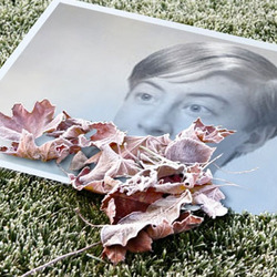 Photo effect - First early frost fetters the earth