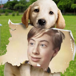 Photo effect - Marley. The cutest puppy