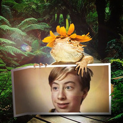 Photo effect - Yellow iguana in tropical forest