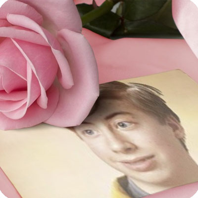 Photo effect - Delicate rose on Valentines Day
