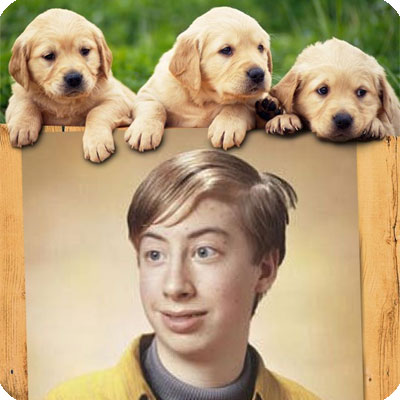 Photo effect - Three cute puppies